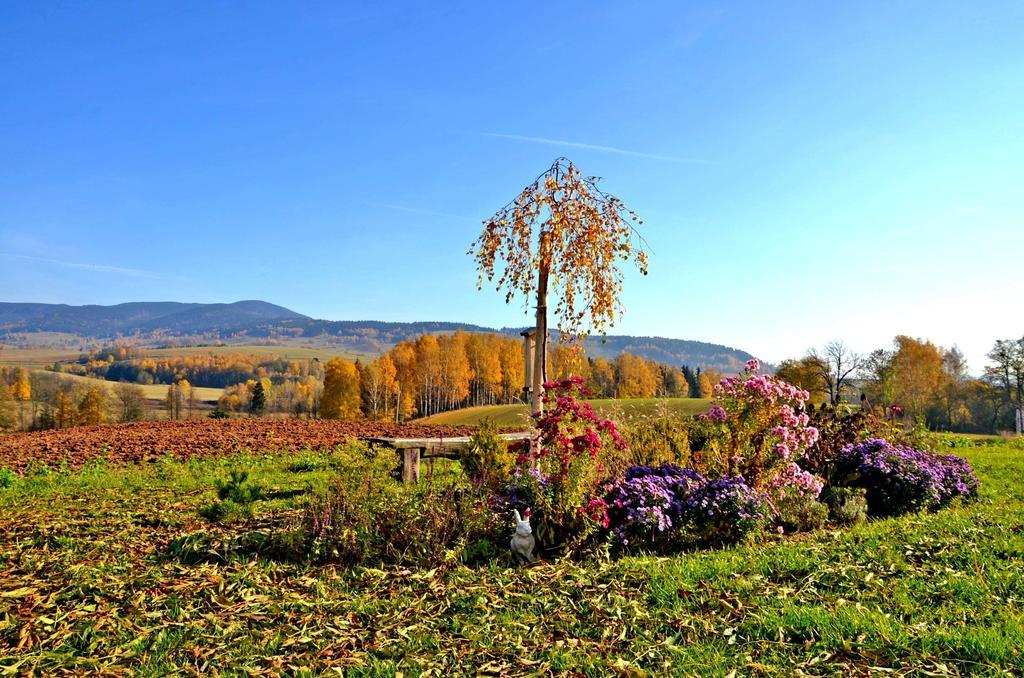 Penzion Na Cervenem Potoce Králíky Exterior foto